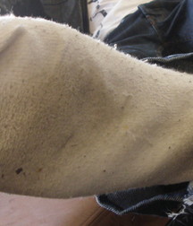 Master Robert Dirty White Socks 5d3ee5076d444.jpg