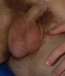Pete 5d4d77219f078.jpg
