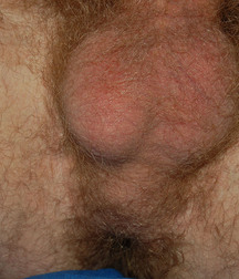 Pete 5d4d77ec72775.jpg
