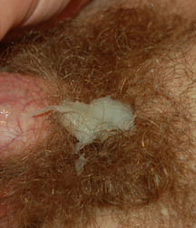 Pete 5d4d77ffb0741.jpg