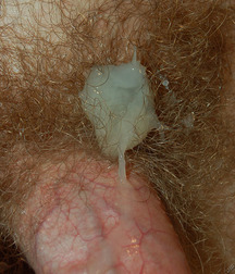Pete 5d4d780c17a30.jpg