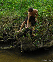 Gregor Bortel Pisses 5dc5a8cc953ca.jpg