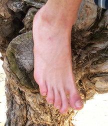 Ian Madrox Beach Socks 5df8c1a5f1543.jpg