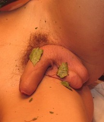 Ton In Sauna 5b0e51bca5d8d.jpg