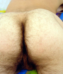 Willy 5b0e53b86093e.jpg