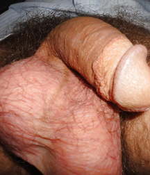 My Small Dick 5b0c538a8e1f8.jpg