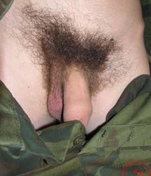 Zayka 5b6d2b28814a8.jpg