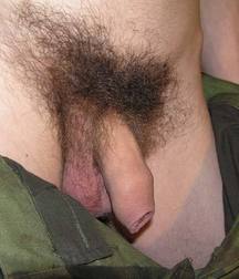 Zayka 5b6d2b3f1466e.jpg