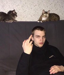 Russian kittens 5c4961e2150ac.jpg