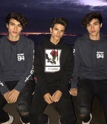 Twinks 5fb48258b273b.jpg