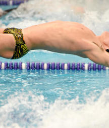 Speedos 5c68f7ed41205.jpg