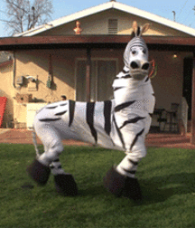 Hallowenerrs 5bcd6ab6e9290.gif