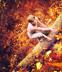 My fav's from Olifan... 5baae84d16d86.png