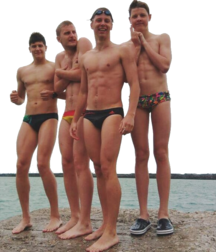 PNG 5d500d6a93856.png