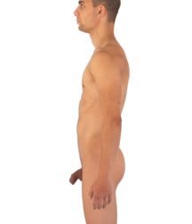 PNG 5d500ed799e41.png