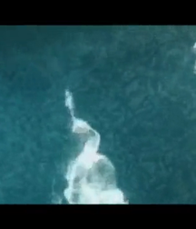 escenas de la pelicula (natacion) gay porn 60b023f594200.png