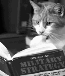 Imatiger - Cat 5b664c2c8a843.gif