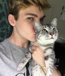 Imatiger - Cat 5b664c521dce0.jpg