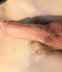 Gleb without Valentine 5b69e0b369d3a.jpg