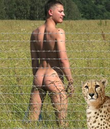 für imatiger 5bb7d9c1d96a0.jpg
