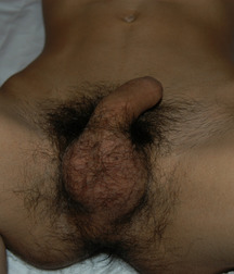 Asia Guy 5bb7f72e54f72.jpg