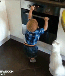 Michels Fun 5bfcc2028e16b.gif
