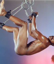 Bound Boys 1 5bfdad6c04780.jpg