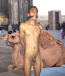 twinks and animals 5e3f4936830e2.jpg