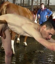 twinks and animals 5e3f496477974.jpg