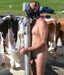 twinks and animals 5e3f499c1c5ca.jpg