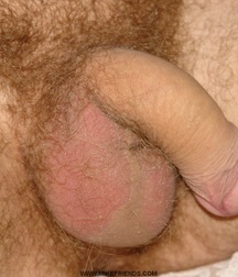 Modelboy Bolik solo gay porn 61ae5ff454e52.jpg