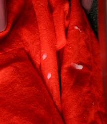 Nikolaus is cumming gay porn 61ae6c6a2fb2d.jpg