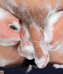 Bert in pool and shower gay porn 61afa0e56d54f.jpg