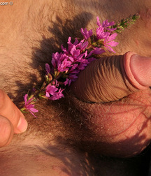 Aleks sunny afternoon gay porn 61bb78b77d501.jpg