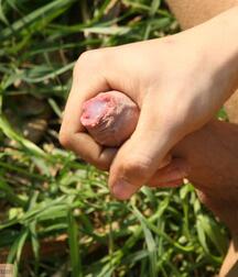 Caleb strips and jerks off in public boys porn 61bb871d21b3e.jpg