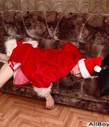 Marty´s christmas feelings gay porn 61c4f7c5355a2.jpg