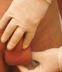 Soldier get his Christmas Medical check-up gay porn 61c770cdb42b0.jpg