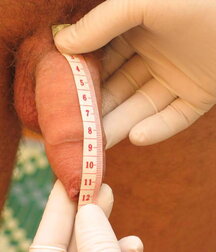 Soldier get his Christmas Medical check-up gay porn 61c770d5384f3.jpg