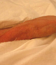 Soldier get his Christmas Medical check-up gay porn 61c771d28bfbc.jpg