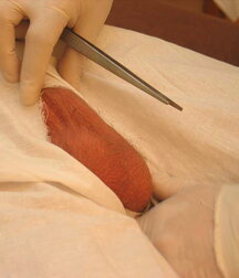 Soldier get his Christmas Medical check-up gay porn 61c771dd00100.jpg