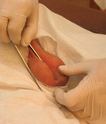 Soldier get his Christmas Medical check-up gay porn 61c771df02d53.jpg