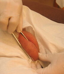 Soldier get his Christmas Medical check-up gay porn 61c771e0db76b.jpg