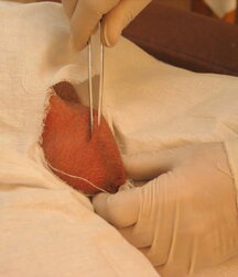 Soldier get his Christmas Medical check-up gay porn 61c771e2b4c85.jpg