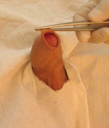 Soldier get his Christmas Medical check-up gay porn 61c771e77aadc.jpg