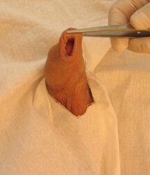 Soldier get his Christmas Medical check-up gay porn 61c771ea52797.jpg