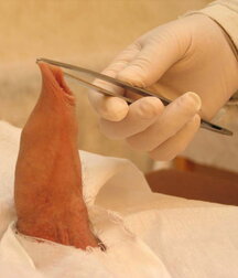 Soldier get his Christmas Medical check-up gay porn 61c771ec22956.jpg