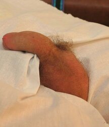 Doctor games with young twink porn 61c777444a49a.jpg