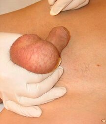 Sweet boy gets anal control and sperm extraction porn 61da0d1ca7f47.jpg