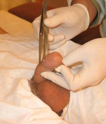 Sweet boy gets anal control and sperm extraction porn 61da0d7922a8c.jpg
