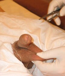 Sweet boy gets anal control and sperm extraction porn 61da0d80e3230.jpg
